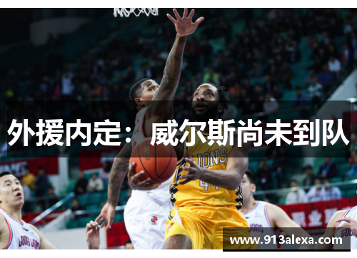 外援内定：威尔斯尚未到队